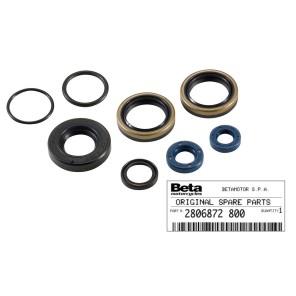 Beta Simmeringsett Motor Evo 125 - 300 ccm 17->